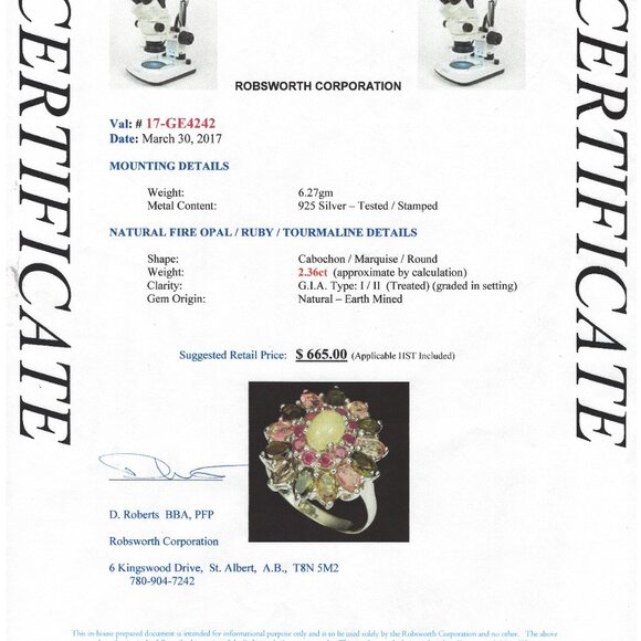 .925 Sterling Silver Fire Opal/Ruby/Tourmaline Floral Ring Size 9.5 Value $665 - Picture 4 of 6